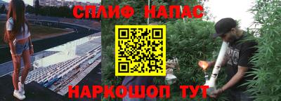 шишки Камышлов