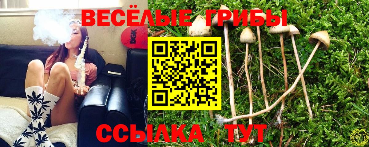 Краснодар  ГАШ  Вход с VPN  Канабис  Меф МЯУ МЯУ  Меф   Кокаин 